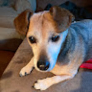 Meet your Posher, Alec